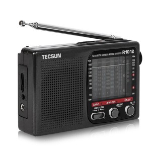 رادیو تکسان مدل R1012